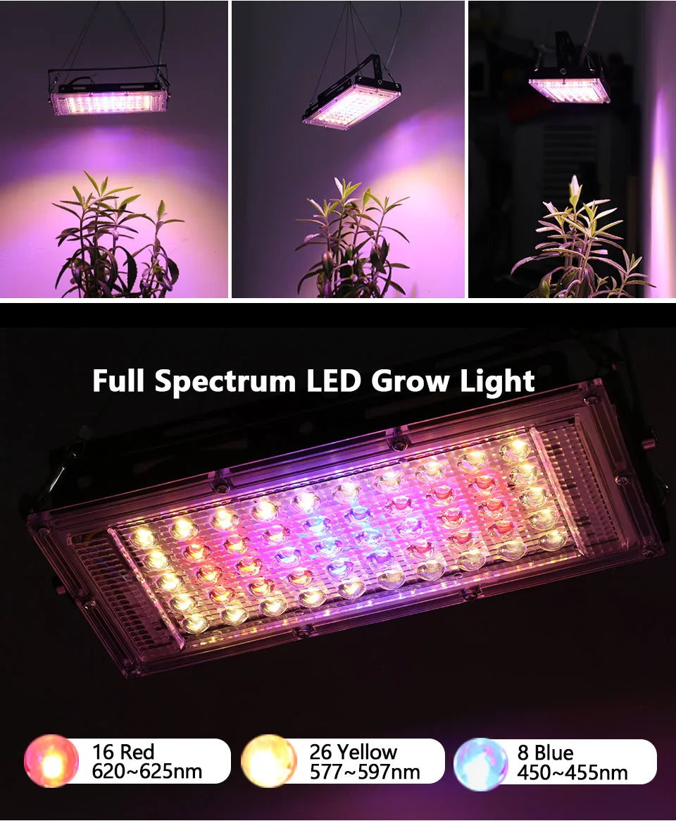 50W 220V Led Grow Light Plant Hydroponic Lamp LED Full Spectrum For Greenhouse Seeds Flower Hydroponic Plant Growth Lighting