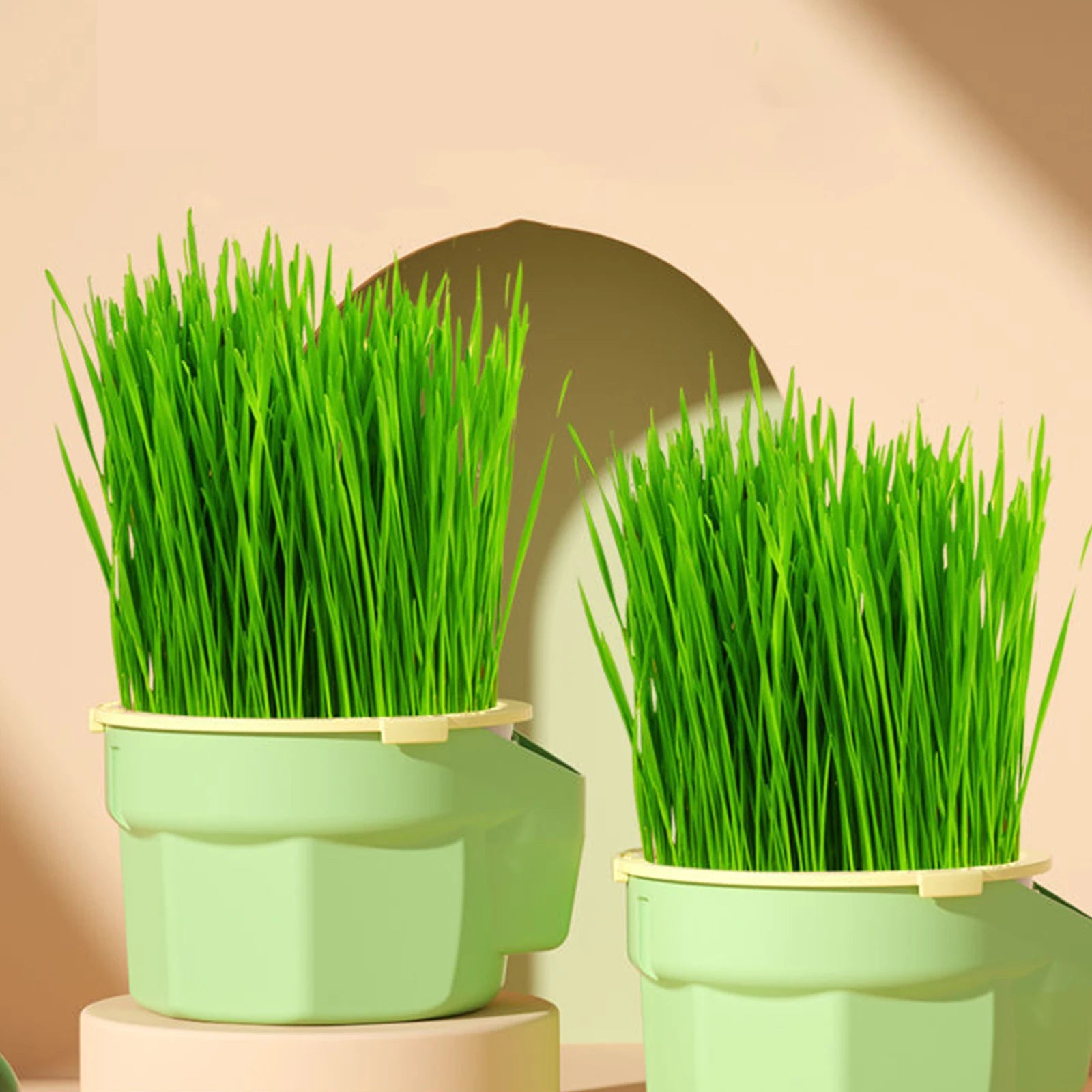 Hierarchical Cat Grass Planting Cup Hydroponic Soilless Cultivation Reusable Catnip Growing Container Seedling Germination Tray