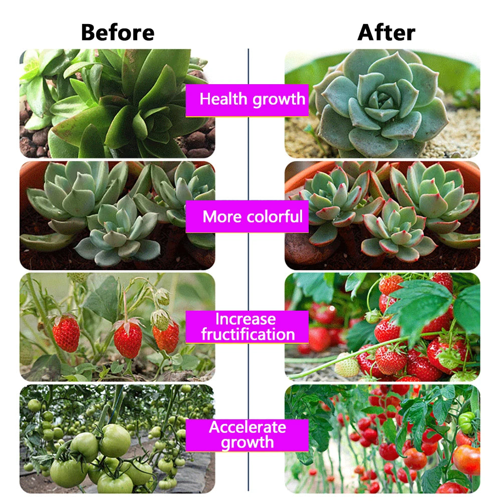 50W 220V Led Grow Light Plant Hydroponic Lamp LED Full Spectrum For Greenhouse Seeds Flower Hydroponic Plant Growth Lighting