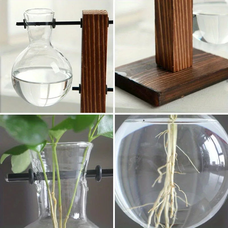 Hydroponic Glass Vase, Vintage Desktop Plant Terrarium Planter Bulb Water Planting Propagation Vase Planters Hydroponics Plants