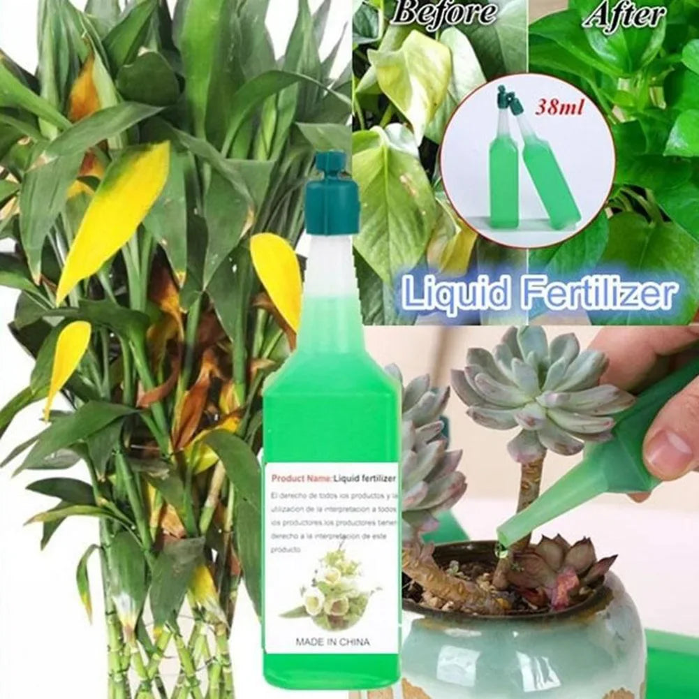 38ml Liquid Hydroponic Plant Fertilizer Enrich The Nutrient Solution Of Hydroponic Plants Hydroponic Liquid Fertilizer 1/3/5pcs