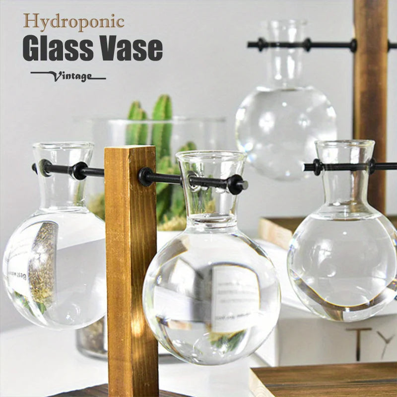 Hydroponic Glass Vase, Vintage Desktop Plant Terrarium Planter Bulb Water Planting Propagation Vase Planters Hydroponics Plants