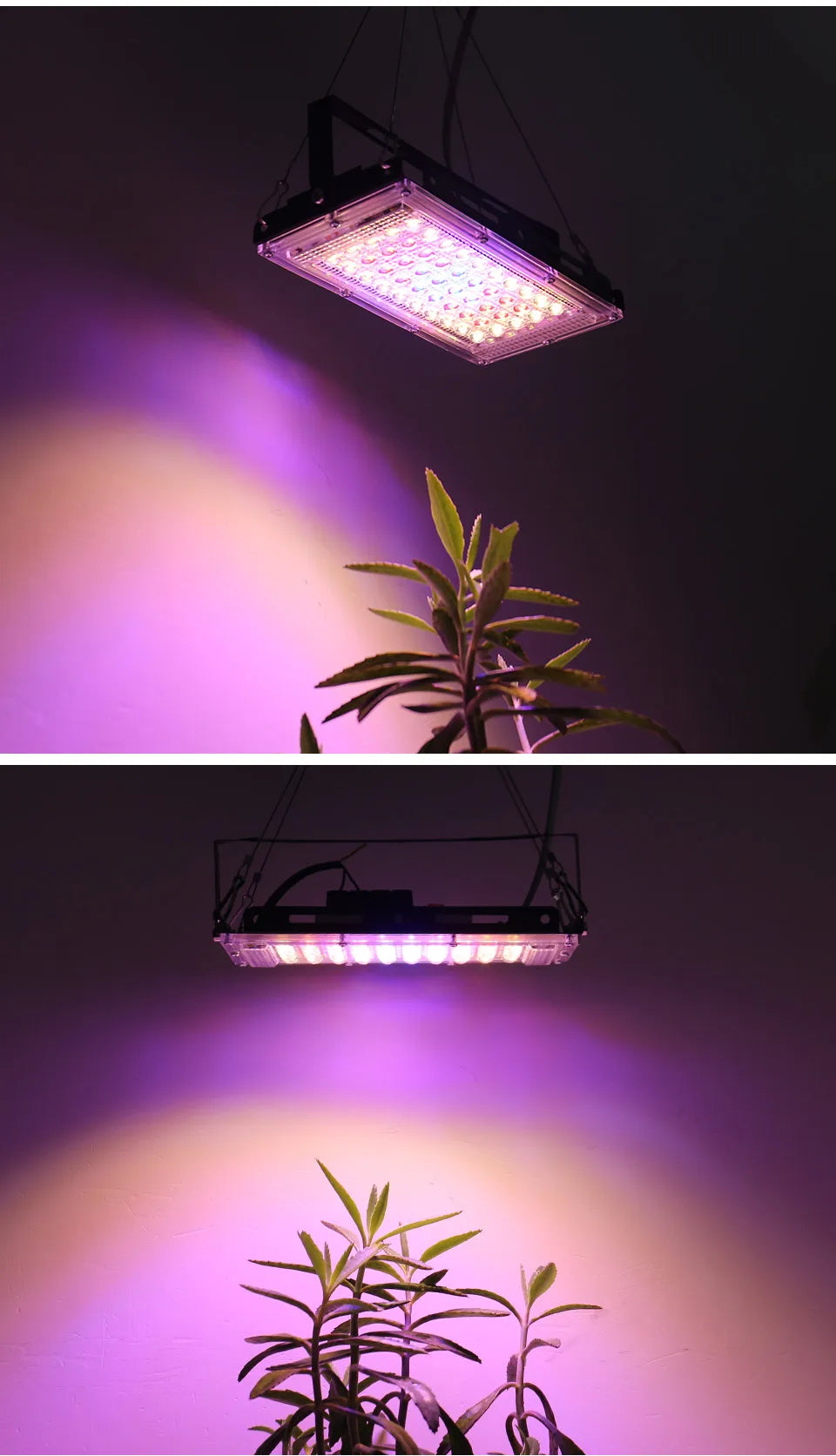 50W 220V Led Grow Light Plant Hydroponic Lamp LED Full Spectrum For Greenhouse Seeds Flower Hydroponic Plant Growth Lighting