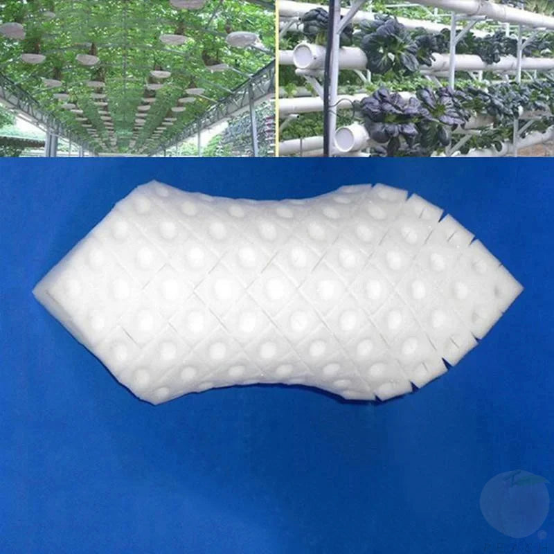 100Pcs/sheet Hydroponic plant Sponge Garden Cultivation Seedling Soilless Culture Planting tools Vegetables Nursery Pots trays