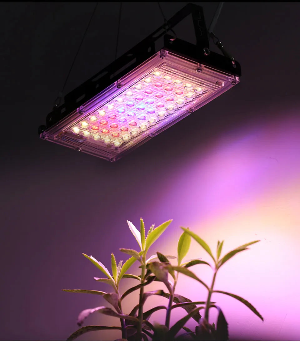 50W 220V Led Grow Light Plant Hydroponic Lamp LED Full Spectrum For Greenhouse Seeds Flower Hydroponic Plant Growth Lighting