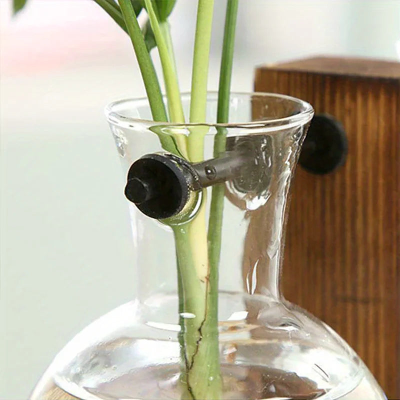 Hydroponic Glass Vase, Vintage Desktop Plant Terrarium Planter Bulb Water Planting Propagation Vase Planters Hydroponics Plants