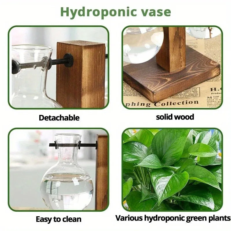 Hydroponic Glass Vase, Vintage Desktop Plant Terrarium Planter Bulb Water Planting Propagation Vase Planters Hydroponics Plants