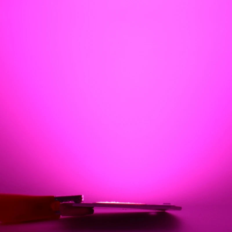 Hydroponice 10W 20W 30W 50W Cob Led Grow Light Chip AC 110V 220V Full Spectrum For Indoor Plant Seedling Grow and Flower