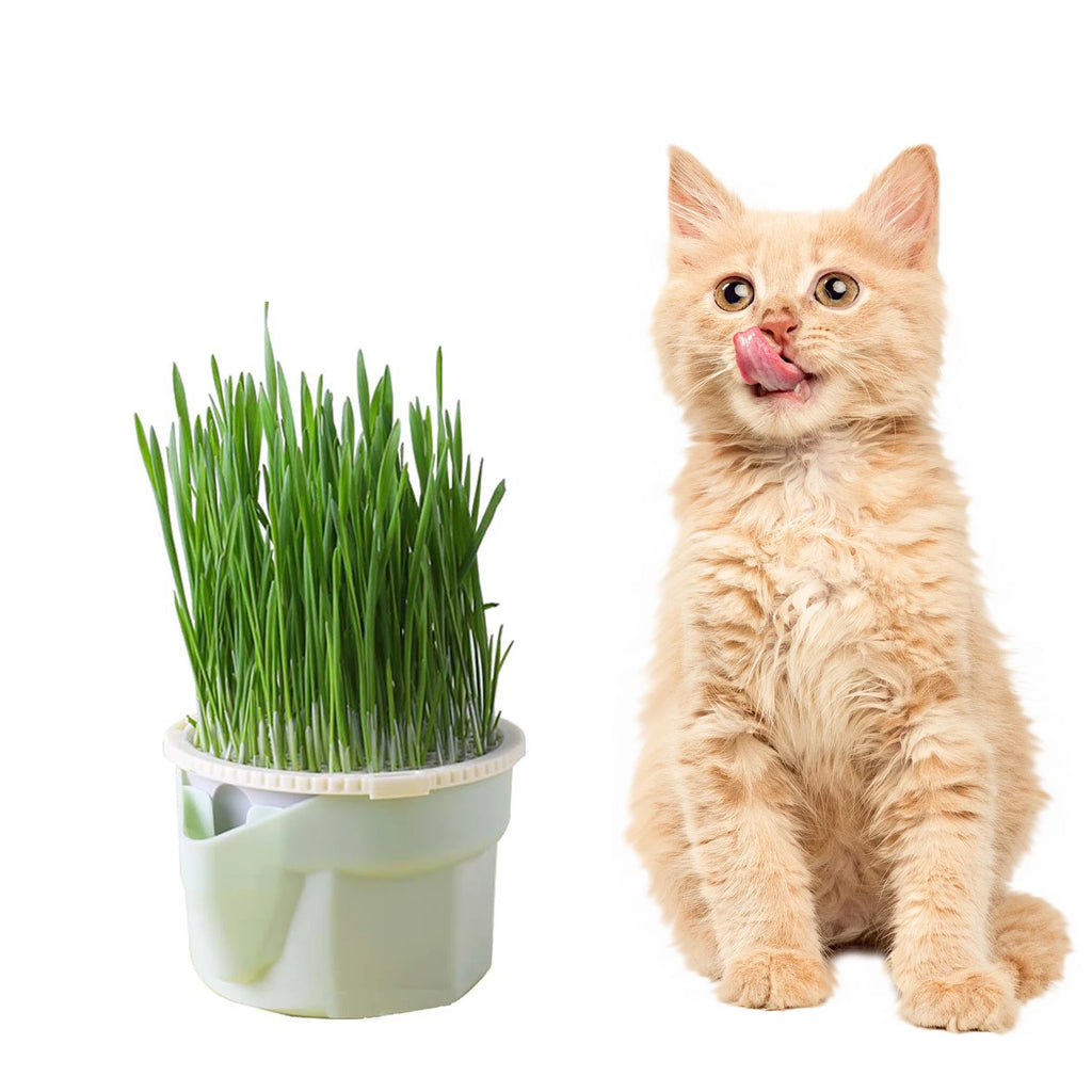 Hierarchical Cat Grass Planting Cup Hydroponic Soilless Cultivation Reusable Catnip Growing Container Seedling Germination Tray