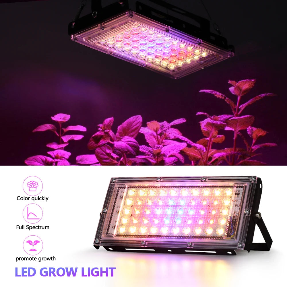 50W 220V Led Grow Light Plant Hydroponic Lamp LED Full Spectrum For Greenhouse Seeds Flower Hydroponic Plant Growth Lighting